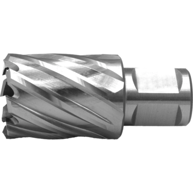Fraise à carotter HSS-EX profondeur de coupe 30 mm 12 mm