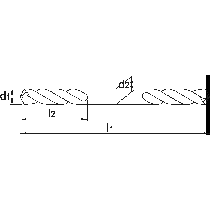Foret ECO PRO HSS double-pointe